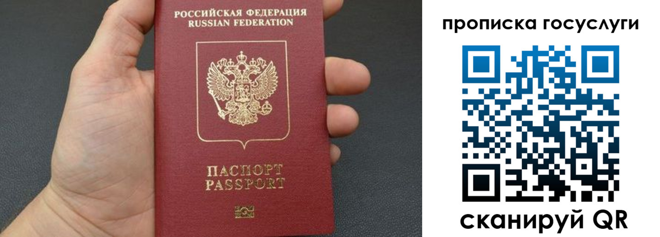 купить прописку в Волосово